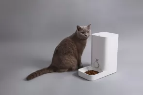 karmnik automatyczny do karmy